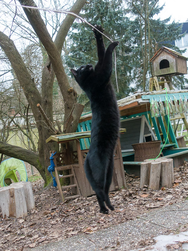 Nikki "steht" ganz gestreckt in der Luft